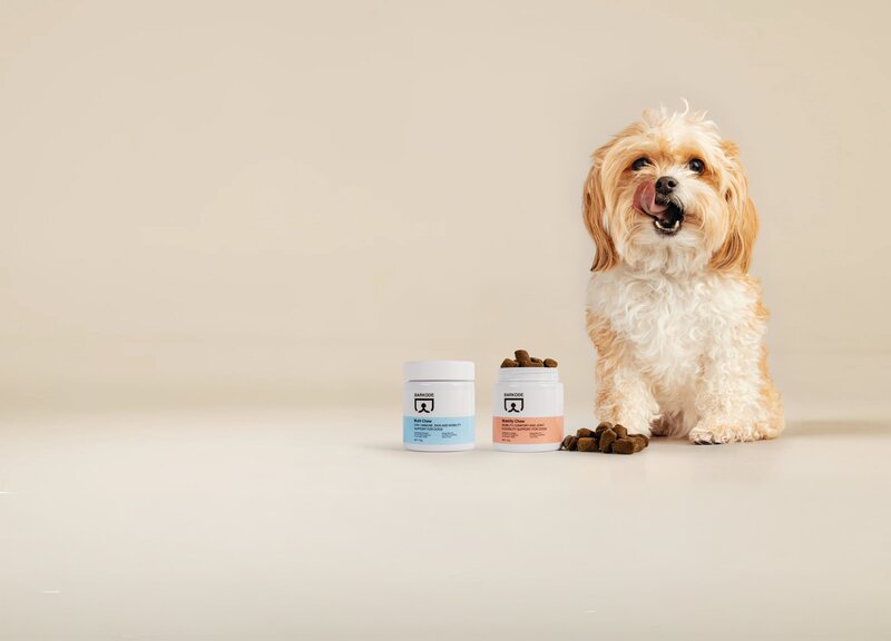 Choose the right support