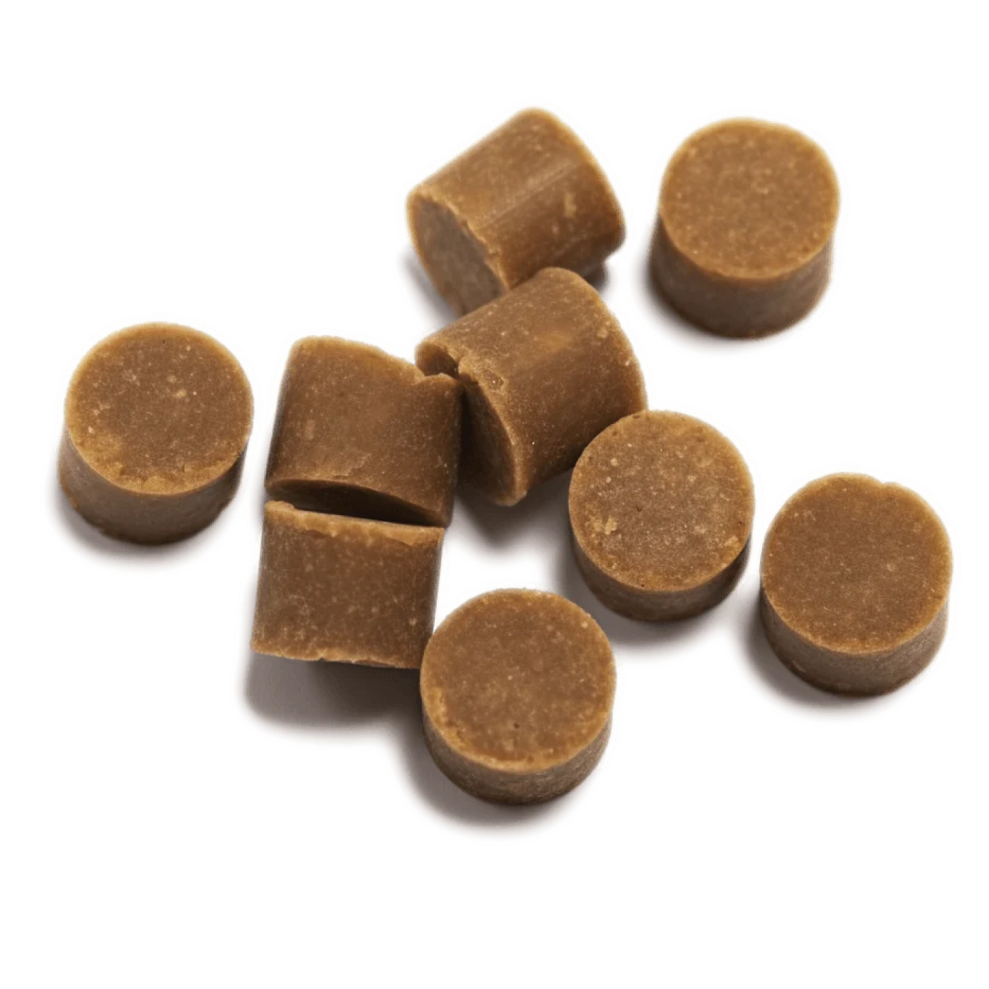 Happy dog with Barkode products