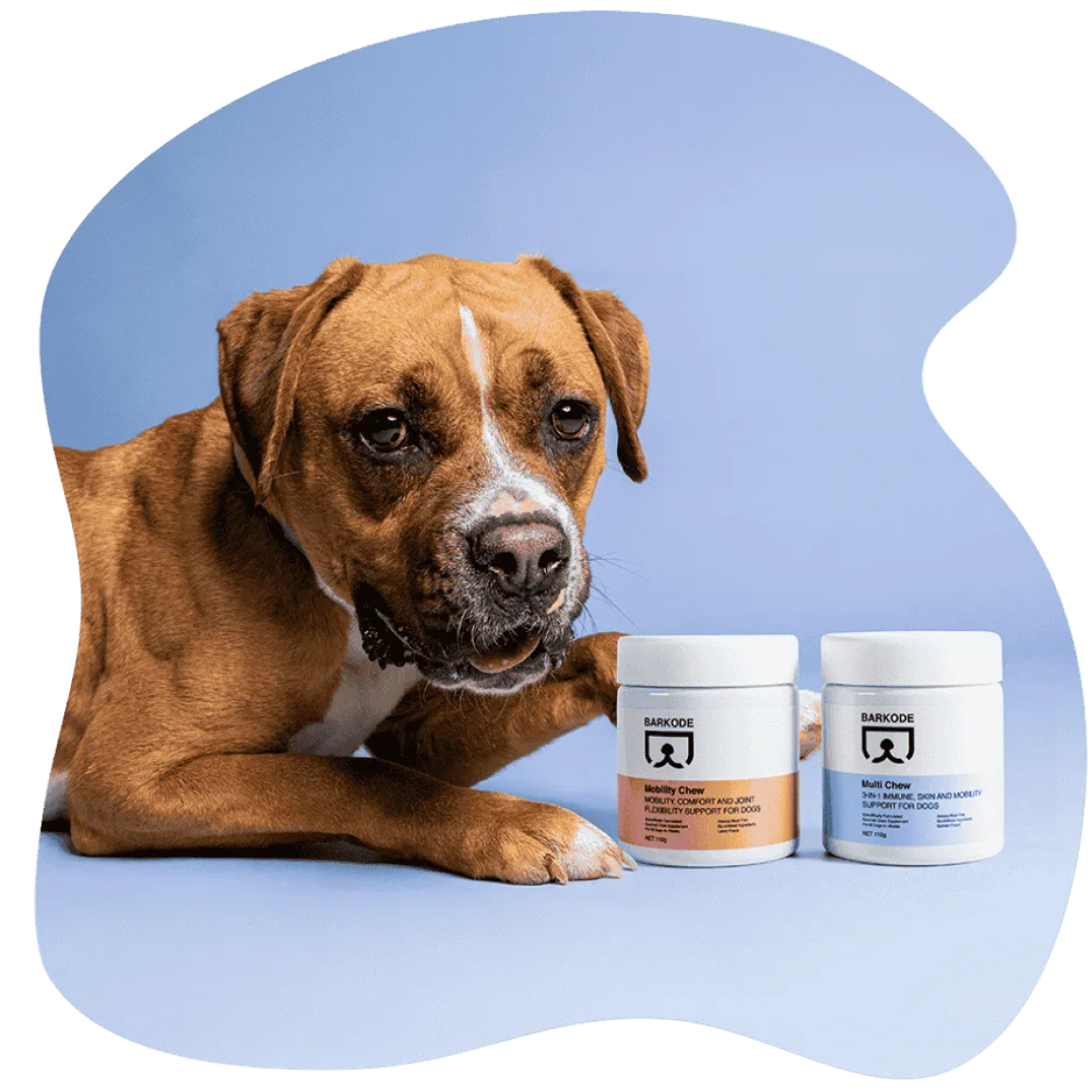 Dog with Barkode supplements