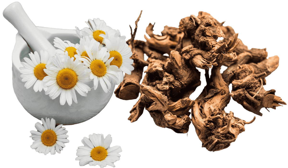 Suntheanine, kamilica, baldrijan