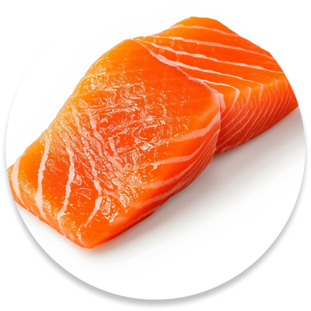 Salmon protein