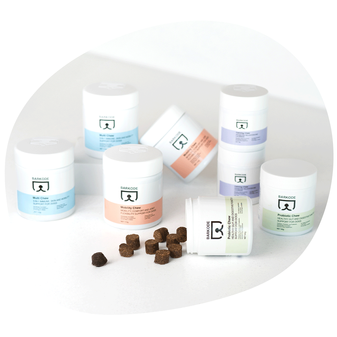 Barkode chews