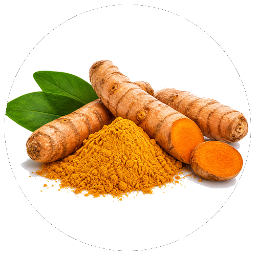 Turmeric