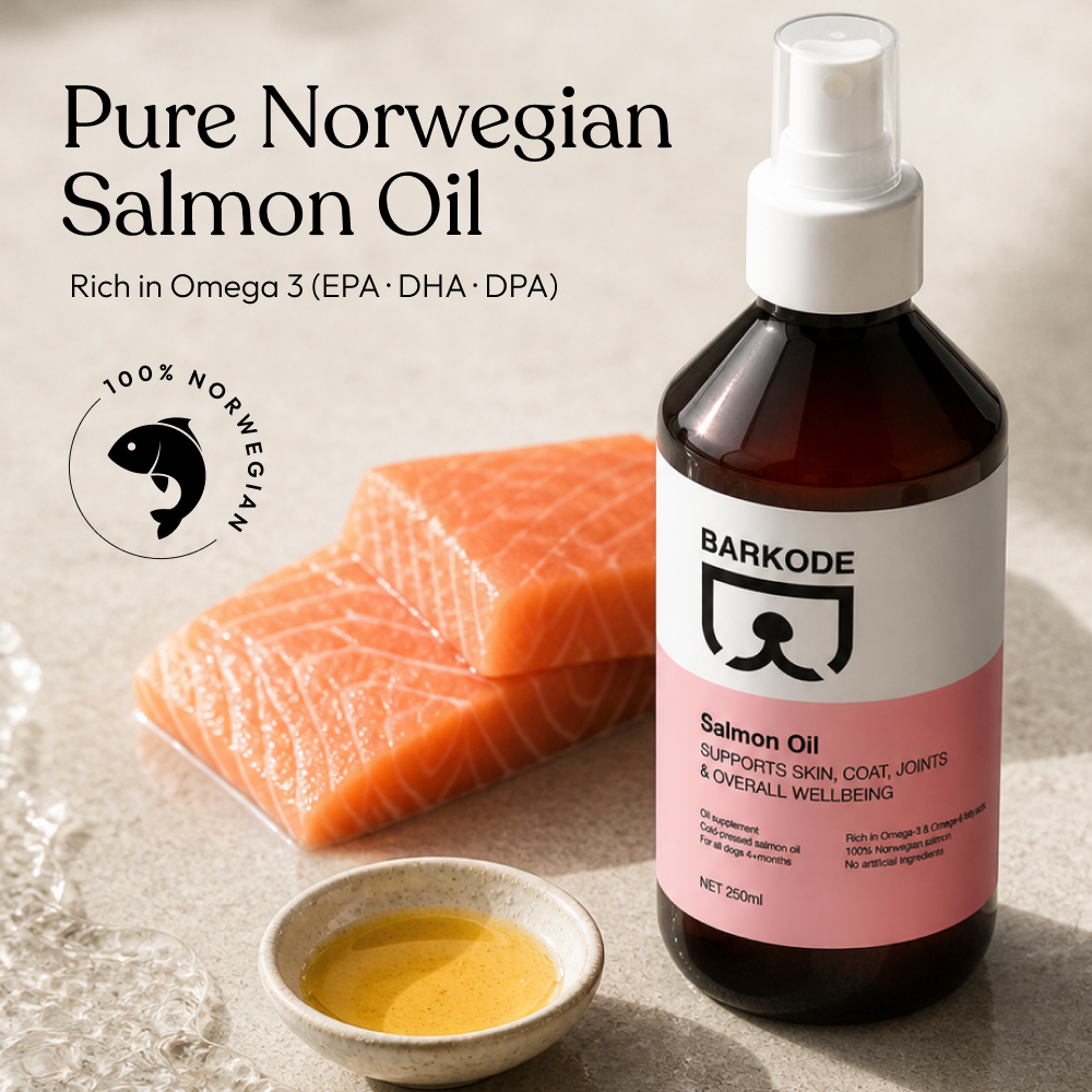 Salmon Oil