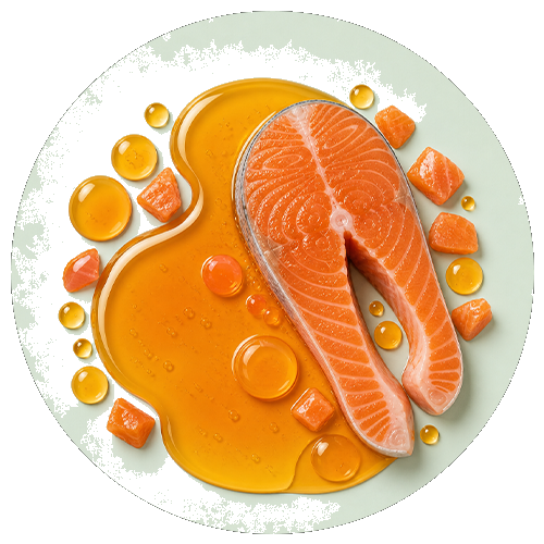 Salmon oil
