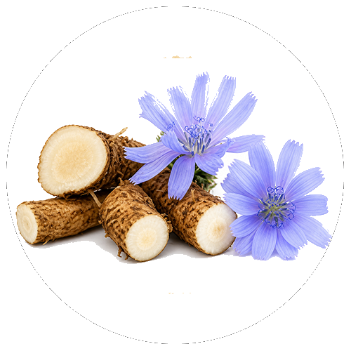 Prebiotic fibres
