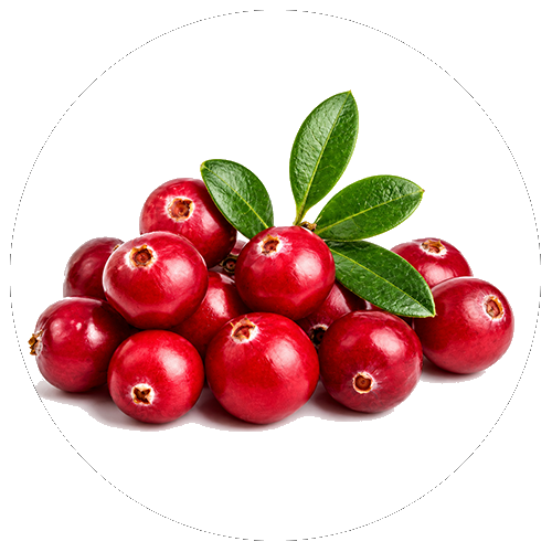 Zinc chelate