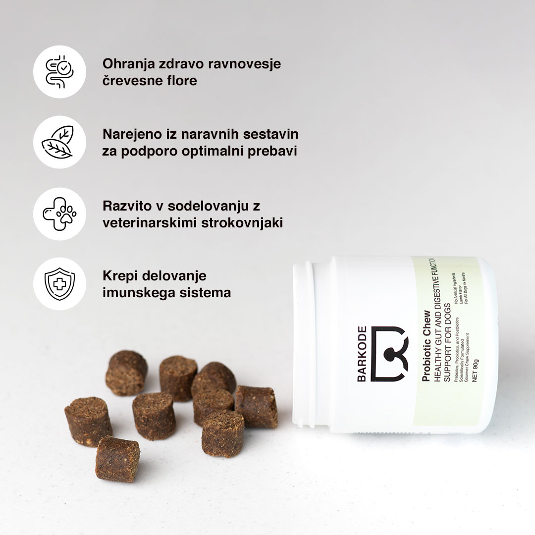 Probiotic Bundle — Complete 4-product pack - 2