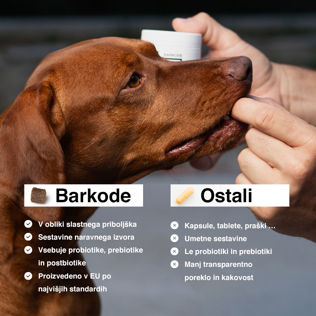 Probiotic Bundle — Complete 4-product pack - 3