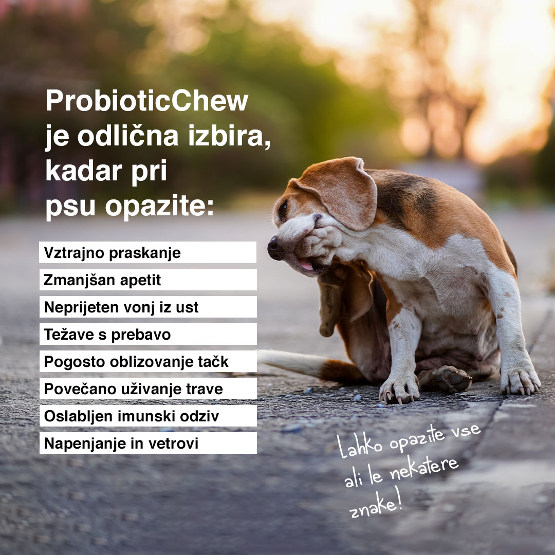 Probiotic Bundle — Complete 4-product pack - 5