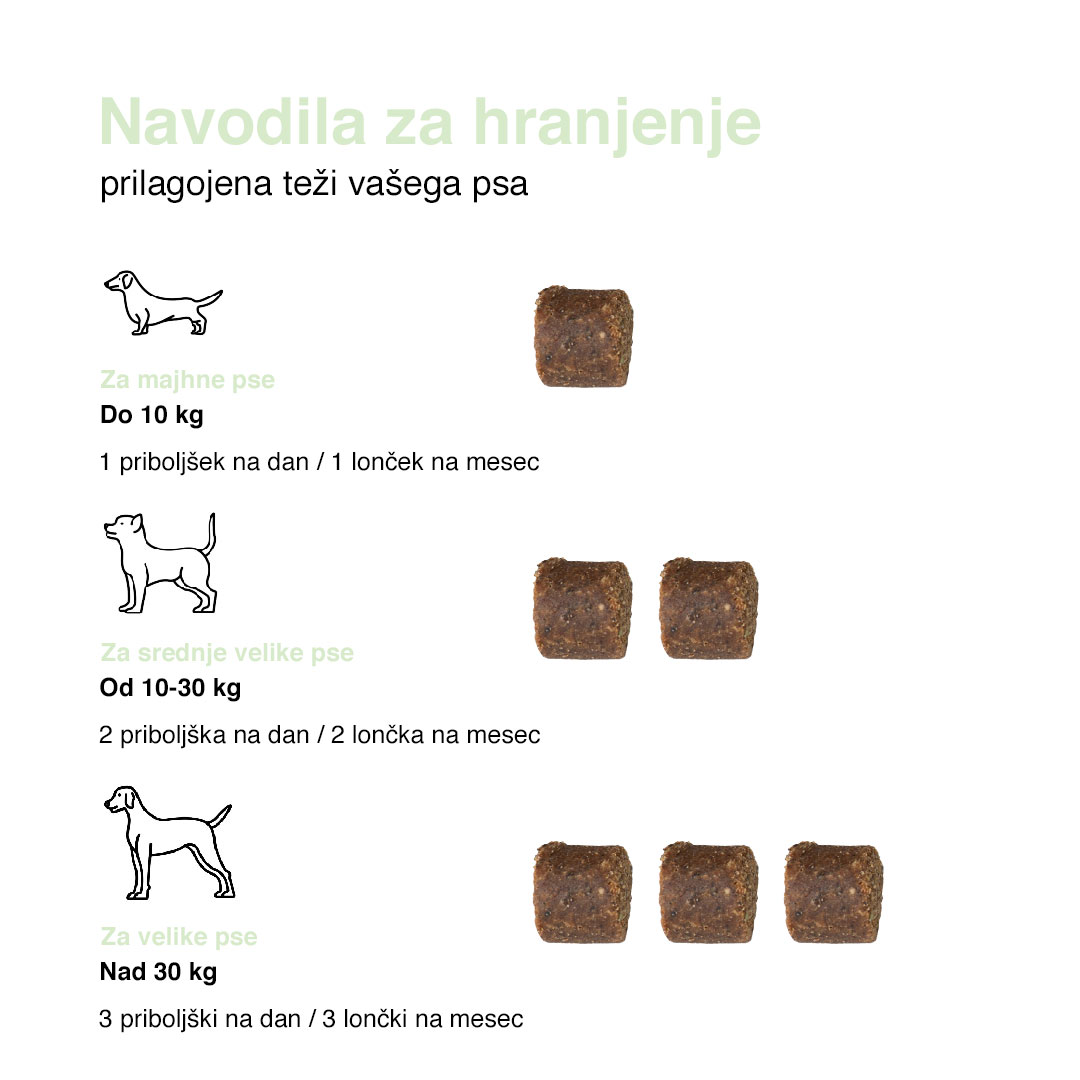 Probiotic Bundle — Complete 4-product pack - 7