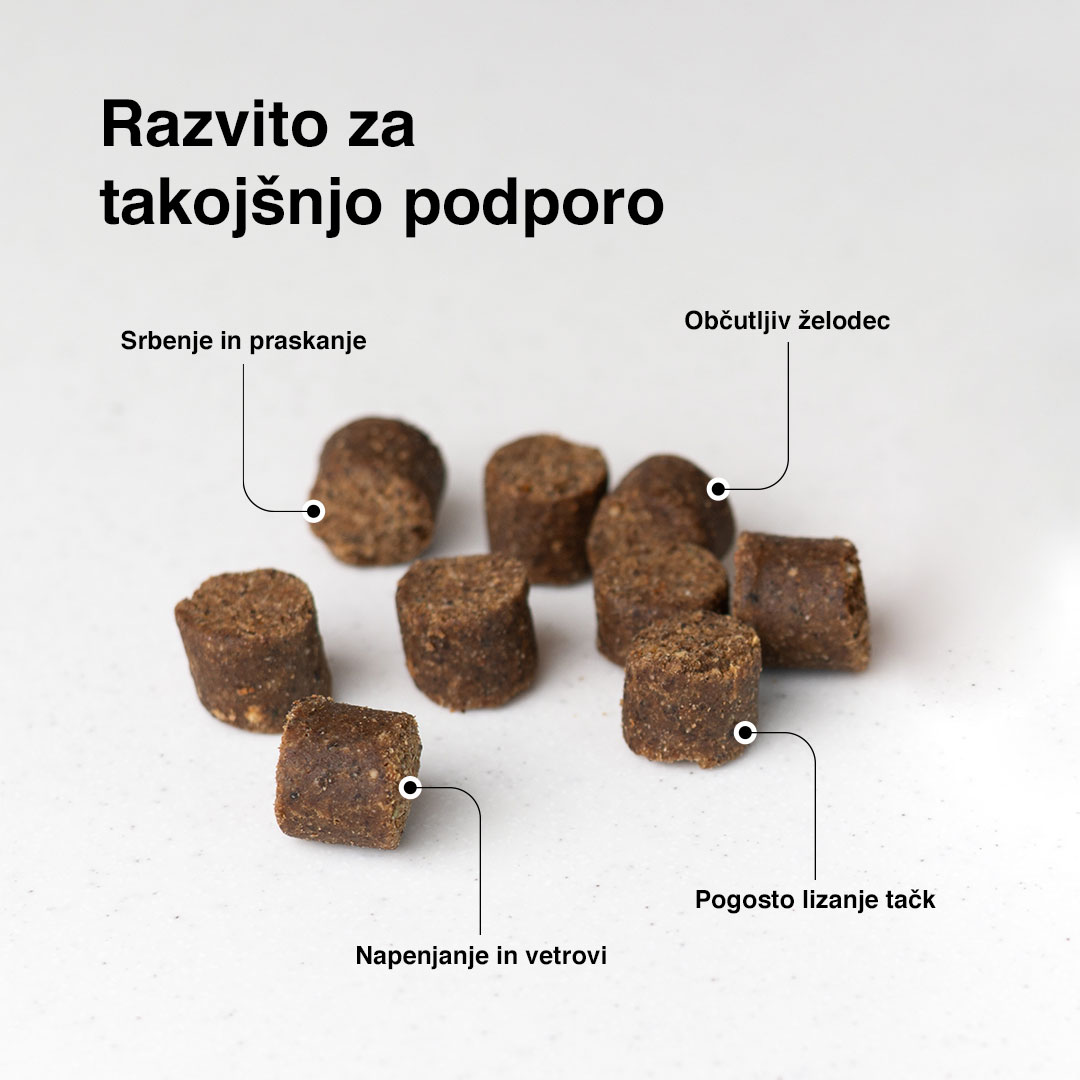 Probiotic Bundle — Complete 4-product pack - 8